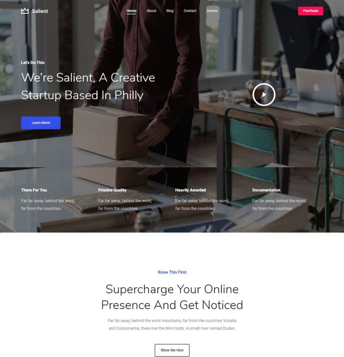 Salient WordPress Theme